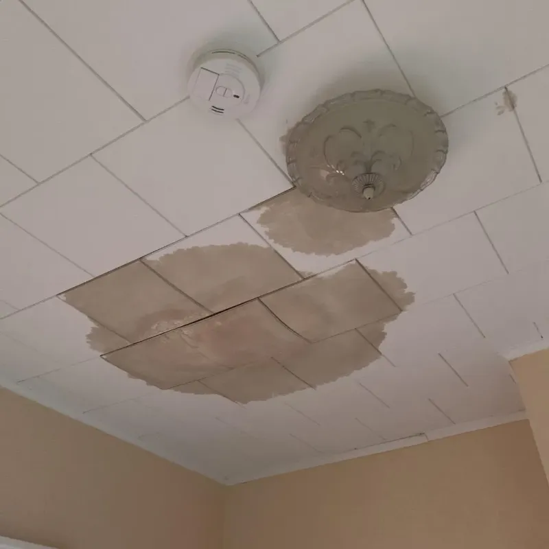 Ceiling Water Damage Repair in Washington County, IA
