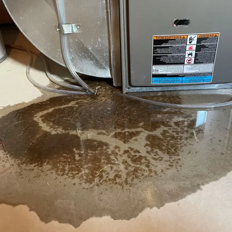 Pipe Burst and Leak Restoration in Washington County, IA
