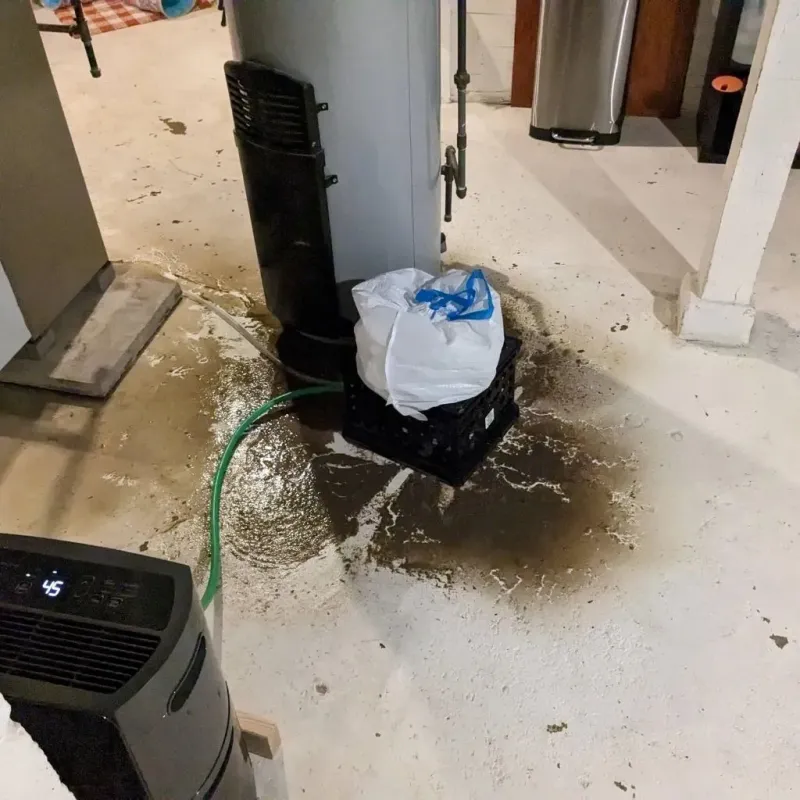 Sewage Backup Cleanup Service in Washington County, IA